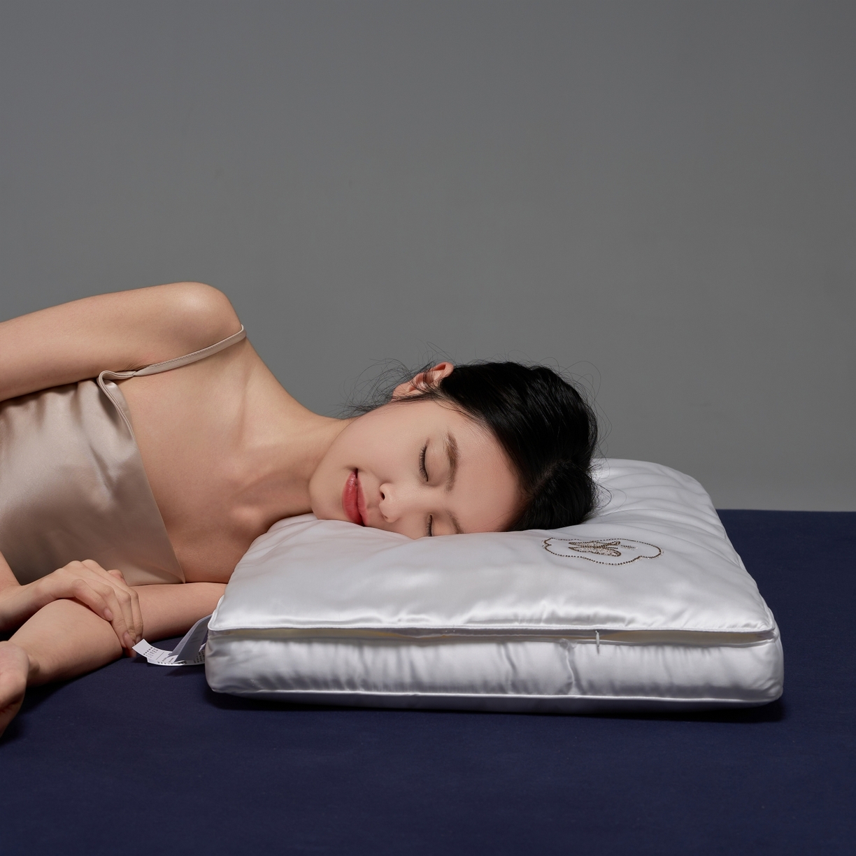 91家纺网 家纺一手货源 找家纺 （总）乐可 2025新款七星丝润蚕丝双层枕枕头枕芯