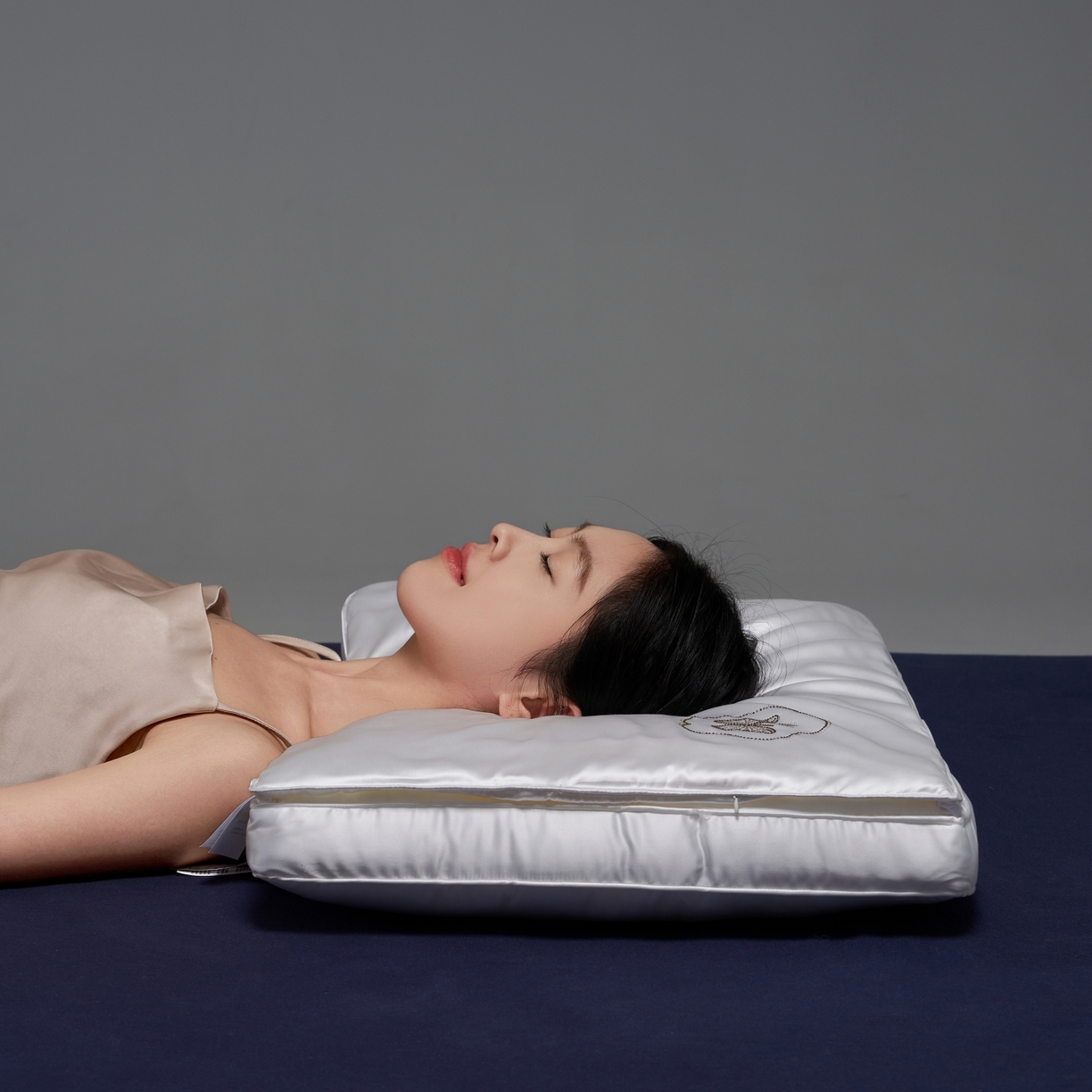 91家纺网 家纺一手货源 找家纺 乐可 2025新款七星丝润蚕丝双层枕枕头枕芯 七星蚕丝双层枕-白