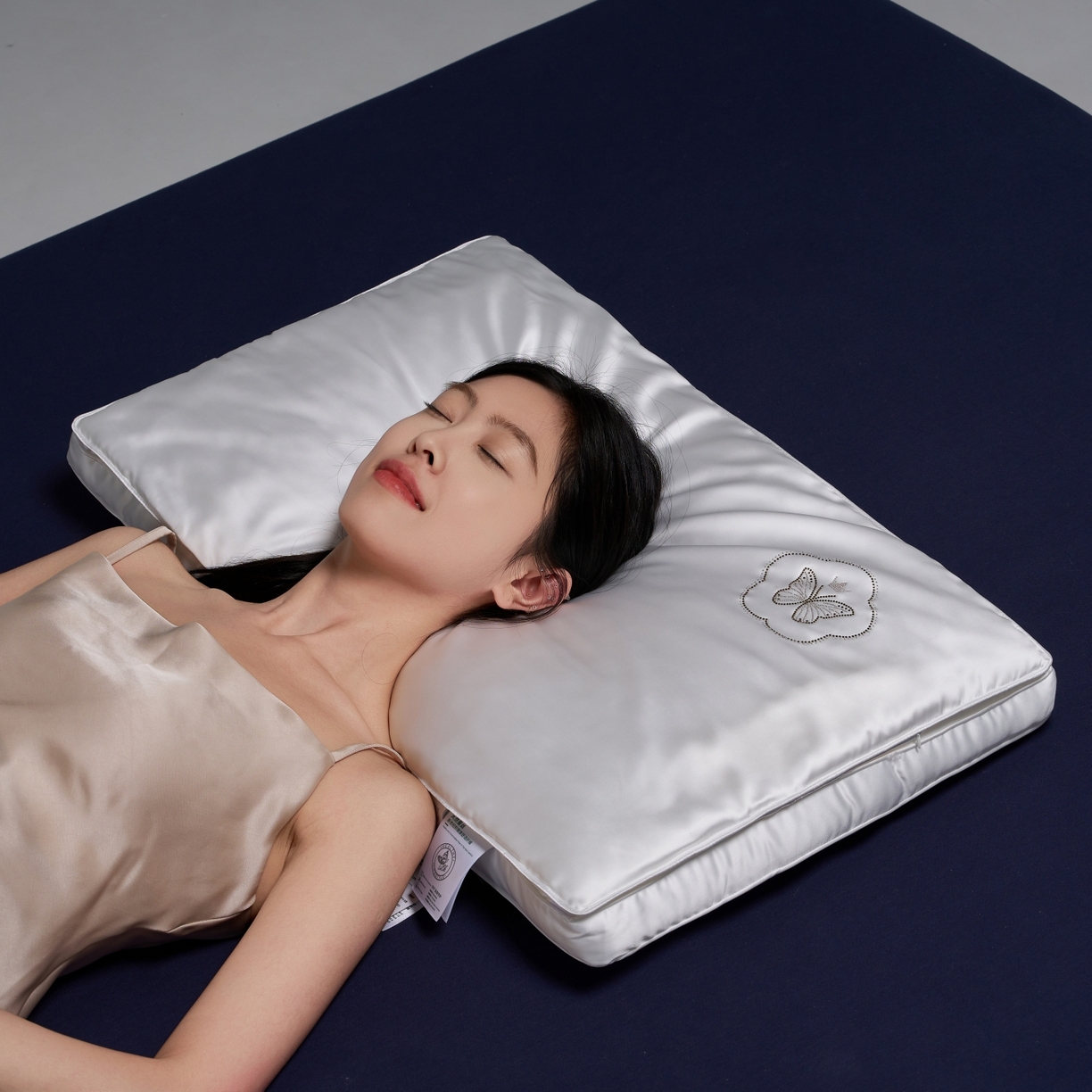 91家纺网 家纺一手货源 找家纺 乐可 2025新款七星丝润蚕丝双层枕枕头枕芯 七星蚕丝双层枕-白