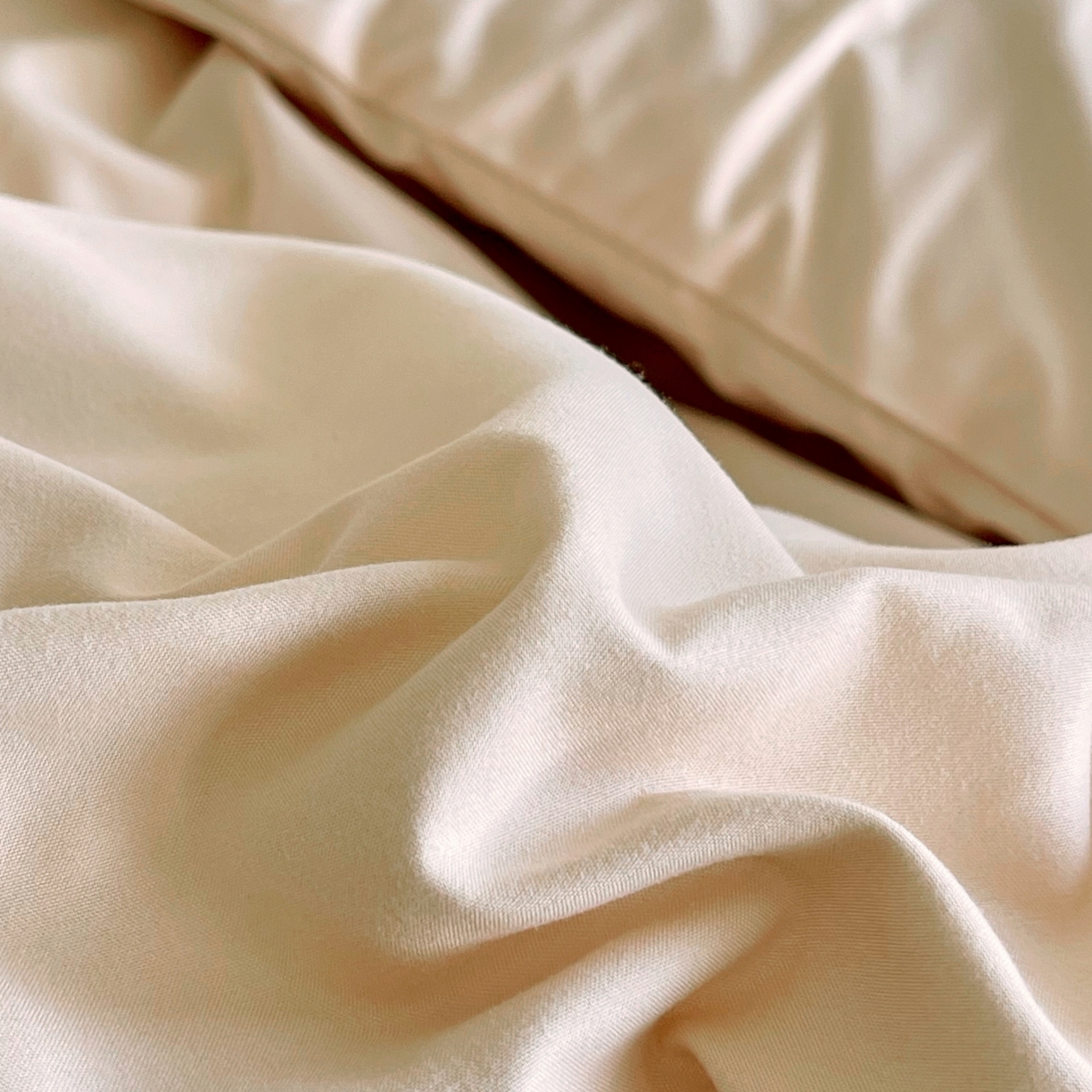 91家纺网 家纺一手货源 找家纺 大麦乐田 2025新款法式轻奢碳素磨毛四件套-卡琳娜系列 卡琳娜 小熊咖