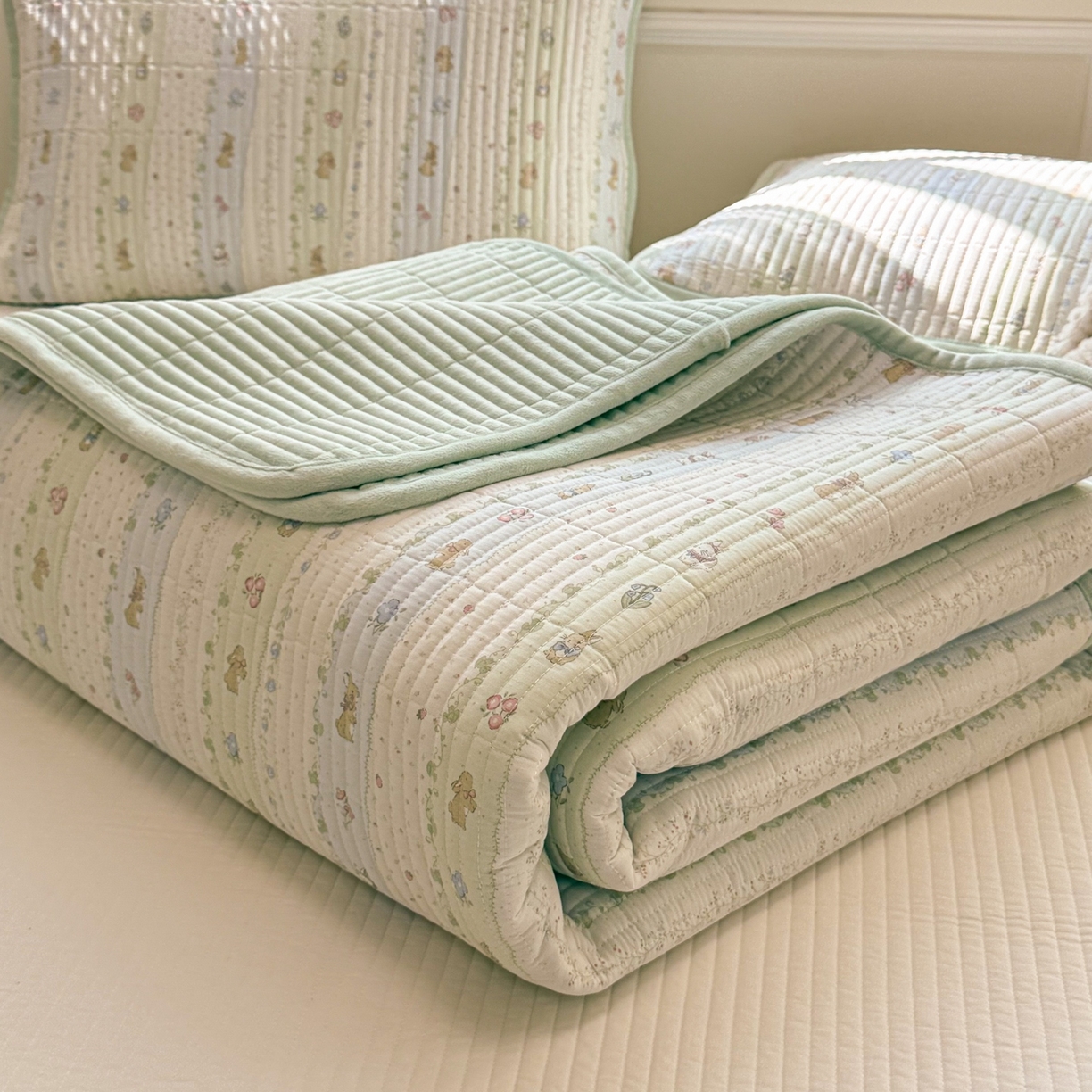 91家纺网 家纺一手货源 找家纺 （总）简宜家居（朝初家纺） 2025新款A面100%全棉B面宝宝绒棉绒包边床盖正反两用