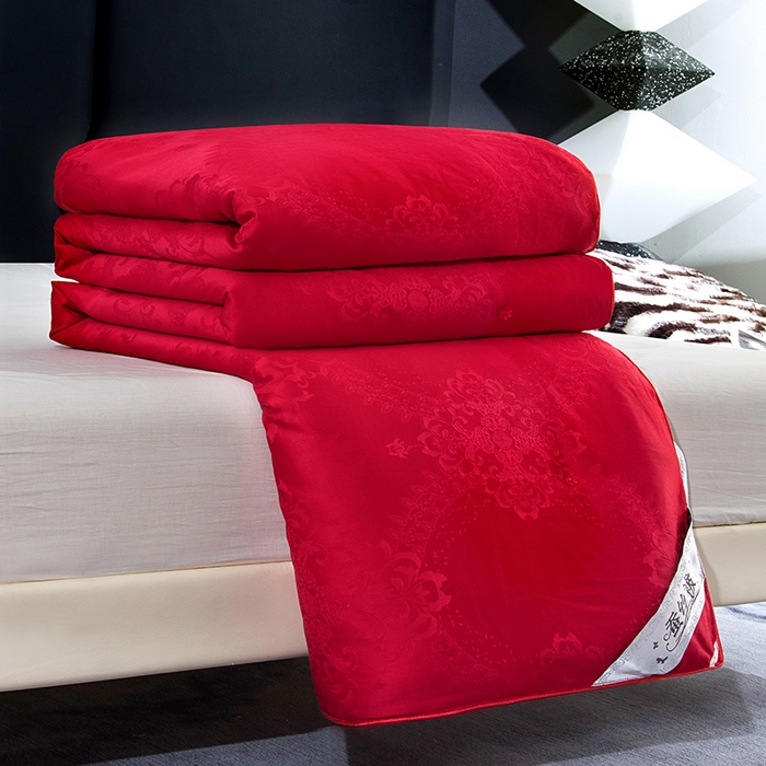 越宏顺 2025新款被子冬被被芯拉链款子母被 大红