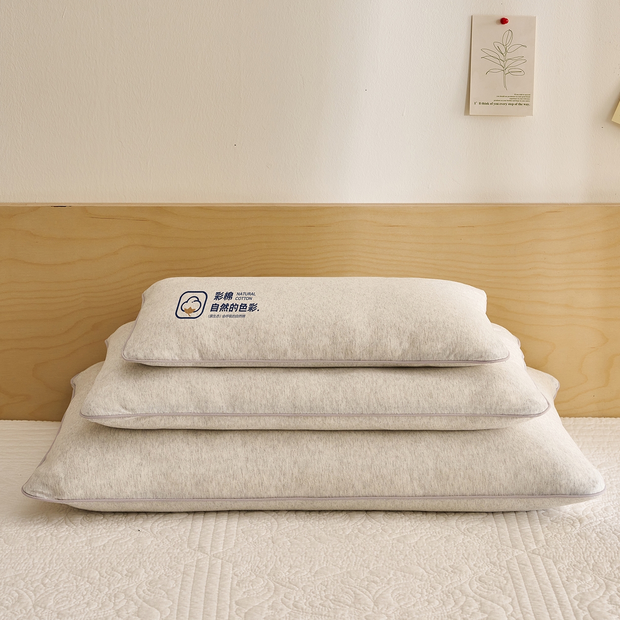 91家纺网 家纺一手货源 找家纺 （总）乐可 2025新款全棉天竺棉棉花亲子枕儿童枕学生枕成人枕头枕芯