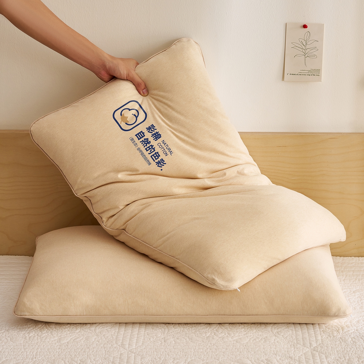 91家纺网 家纺一手货源 找家纺 （总）乐可 2025新款全棉天竺棉棉花亲子枕儿童枕学生枕成人枕头枕芯