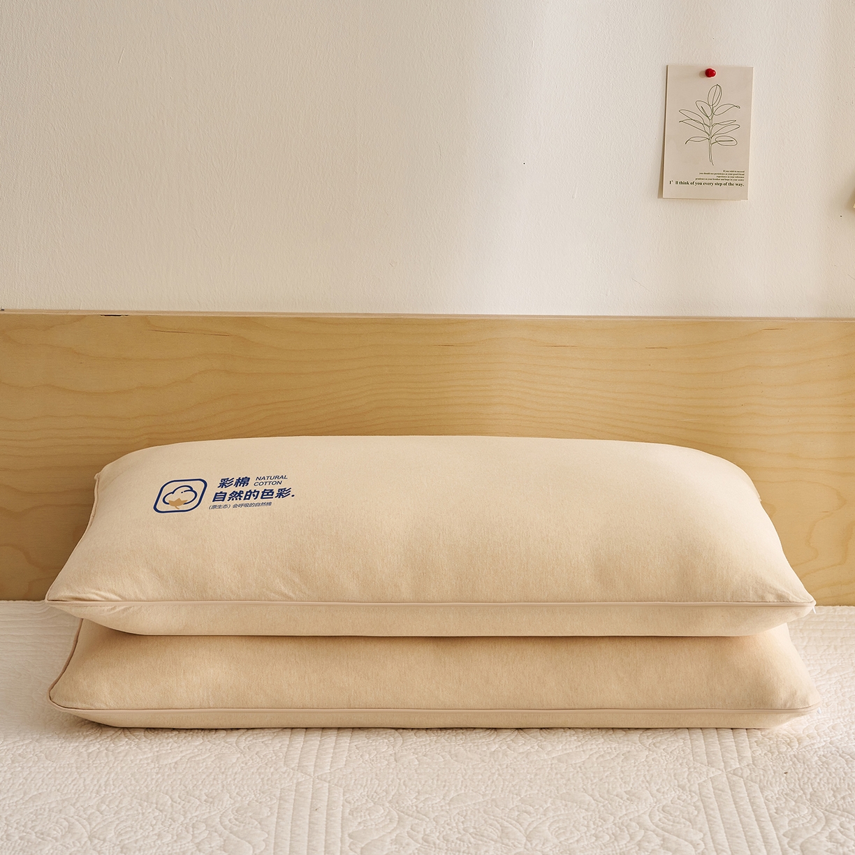 91家纺网 家纺一手货源 找家纺 （总）乐可 2025新款全棉天竺棉棉花亲子枕儿童枕学生枕成人枕头枕芯