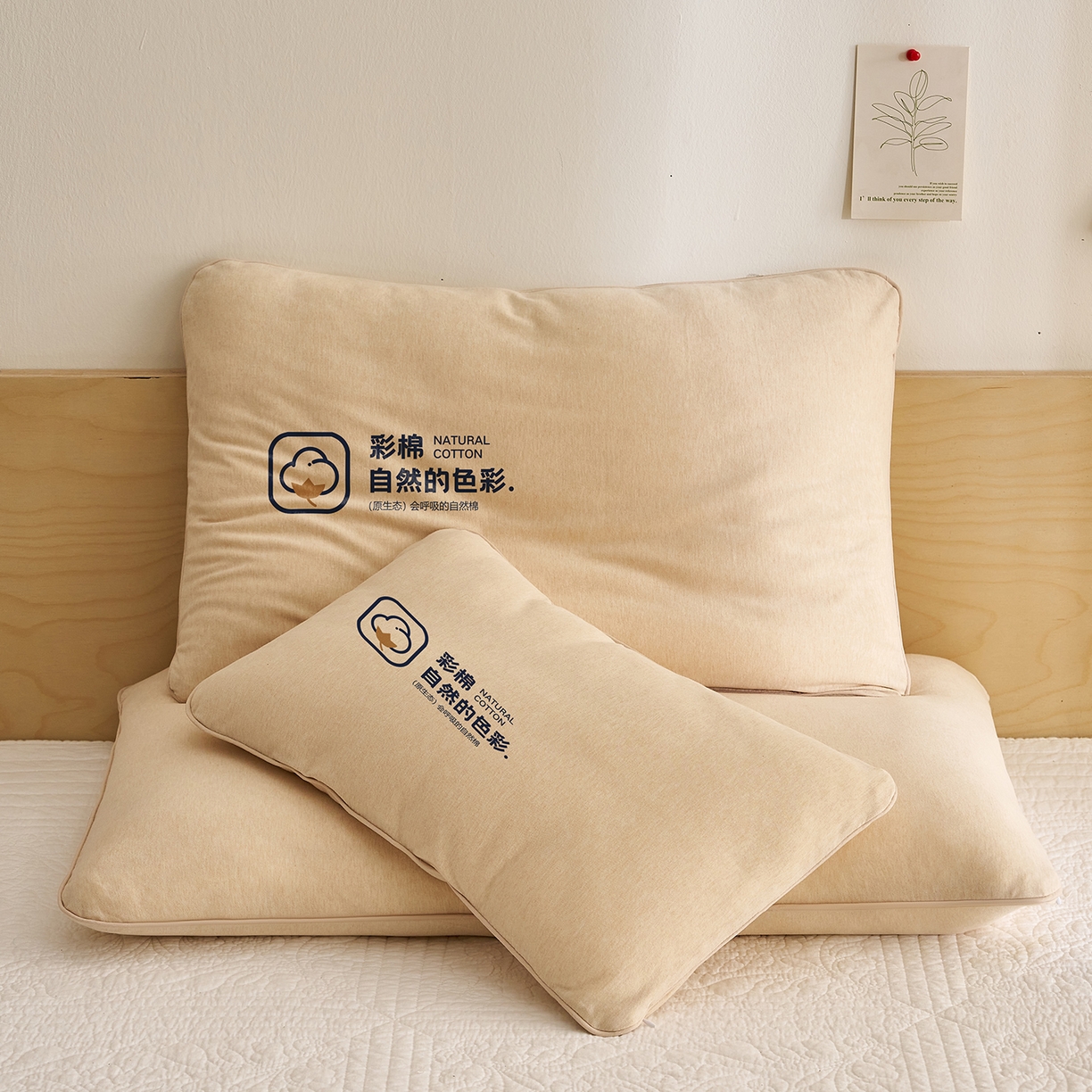 乐可 2025新款全棉天竺棉棉花亲子枕 天竺棉棉花枕-米-儿童