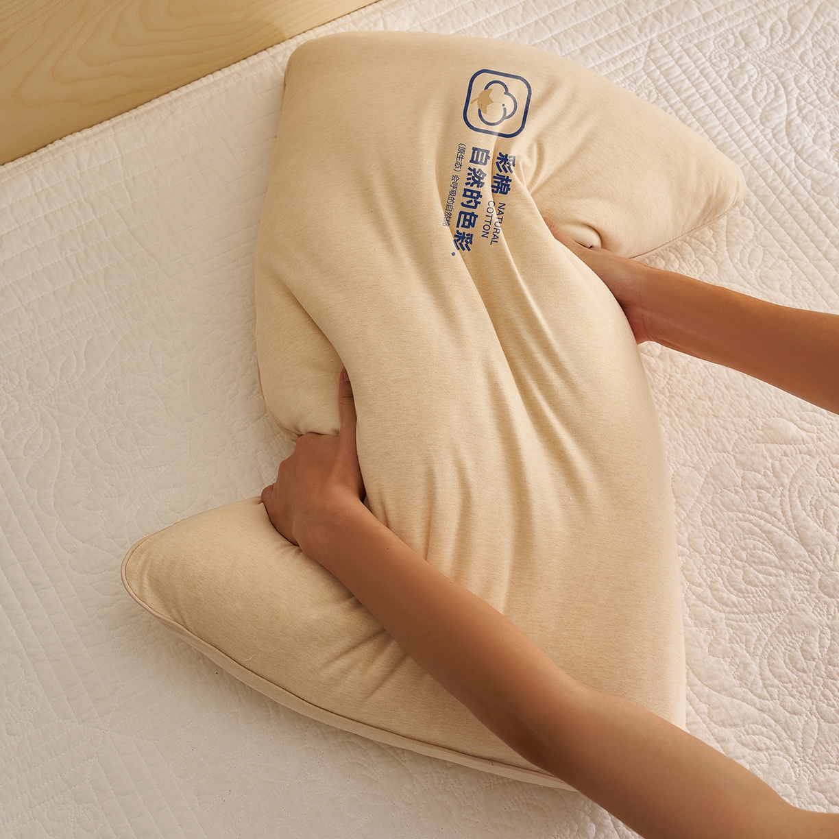 91家纺网 家纺一手货源 找家纺 乐可 2025新款全棉天竺棉棉花亲子枕 天竺棉棉花枕-米-学生