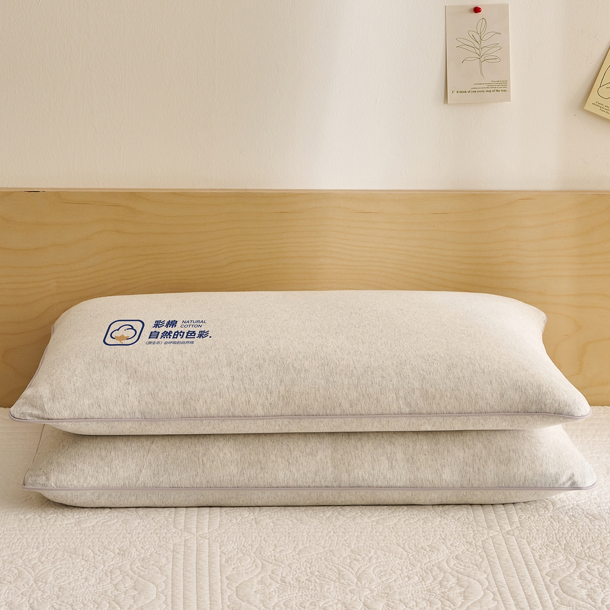 91家纺网 家纺一手货源 找家纺 乐可 2025新款全棉天竺棉棉花亲子枕 天竺棉棉花枕-灰-学生