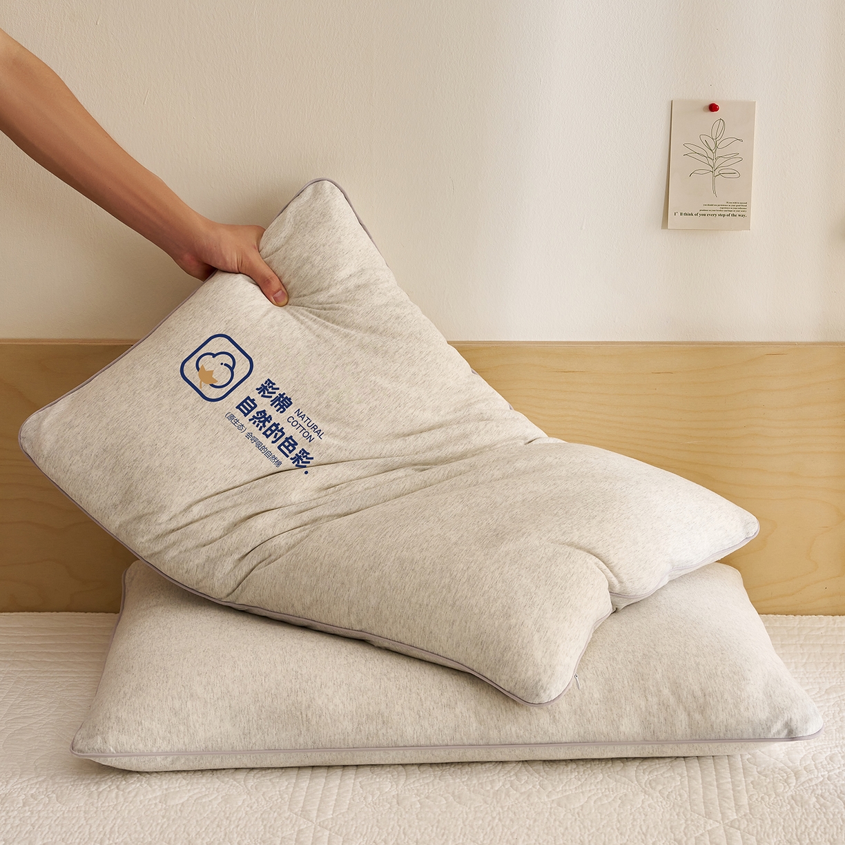 91家纺网 家纺一手货源 找家纺 乐可 2025新款全棉天竺棉棉花亲子枕 天竺棉棉花枕-灰-成人