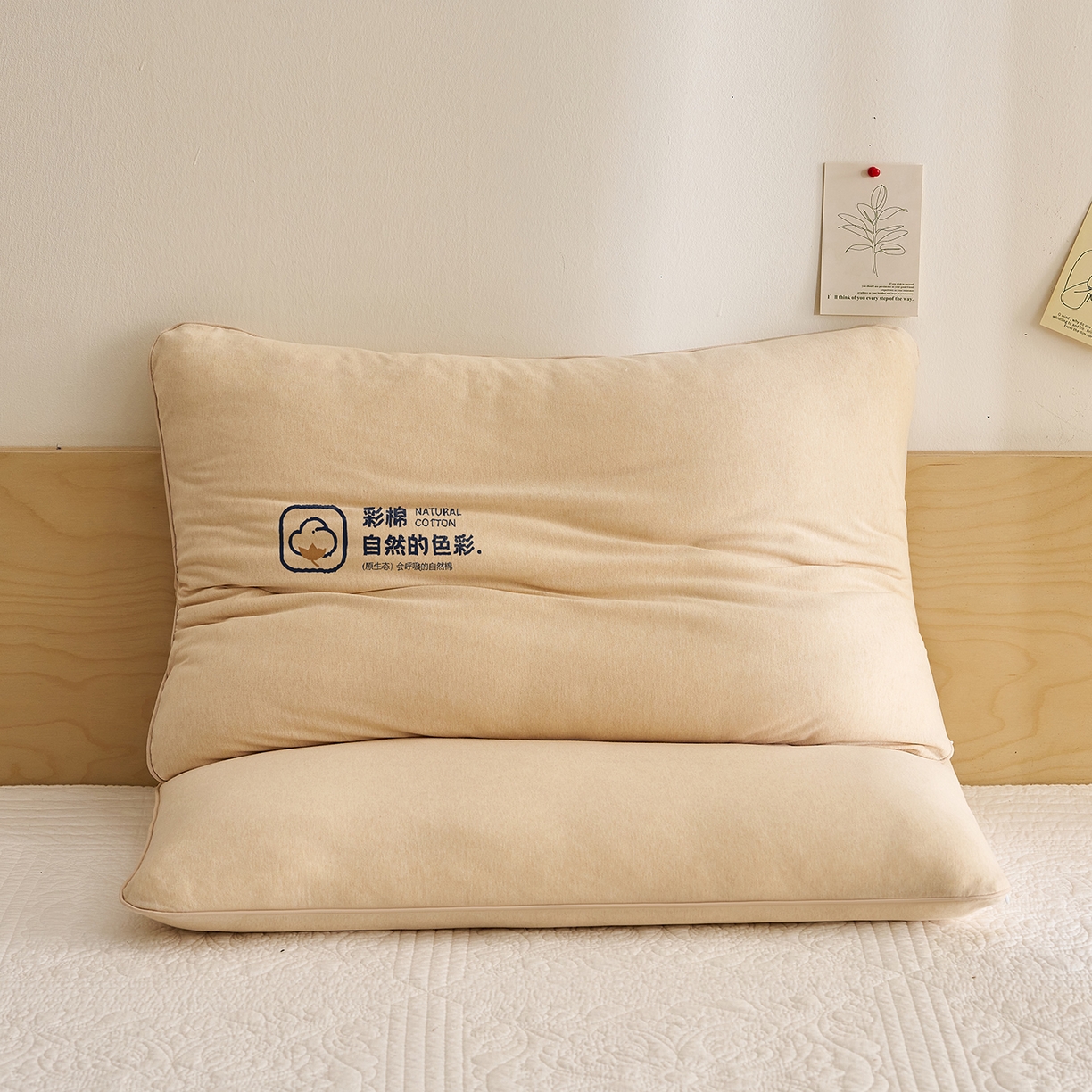 91家纺网 家纺一手货源 找家纺 乐可 2025新款全棉天竺棉棉花亲子枕 天竺棉棉花枕-米-成人