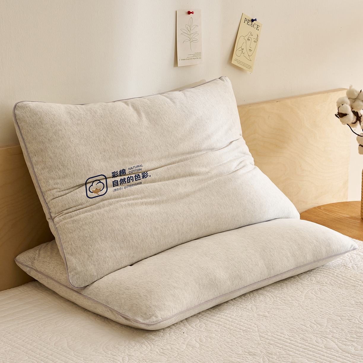 91家纺网 家纺一手货源 找家纺 乐可 2025新款全棉天竺棉棉花亲子枕 天竺棉棉花枕-灰-学生