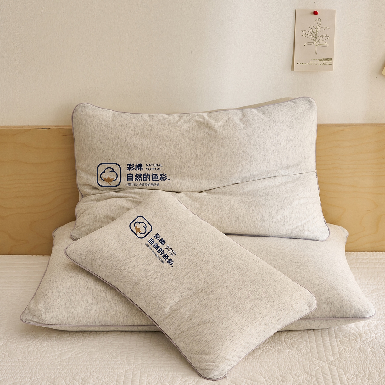 91家纺网 家纺一手货源 找家纺 乐可 2025新款全棉天竺棉棉花亲子枕 天竺棉棉花枕-灰-学生