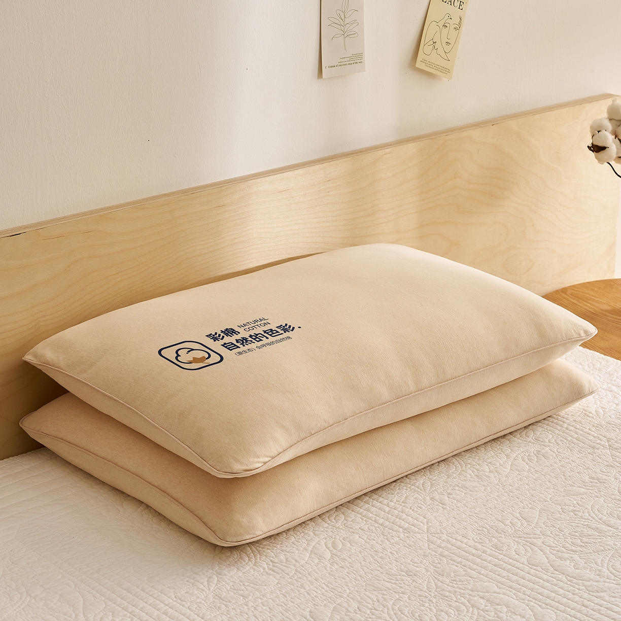 91家纺网 家纺一手货源 找家纺 （总）乐可 2025新款全棉天竺棉棉花亲子枕儿童枕学生枕成人枕头枕芯