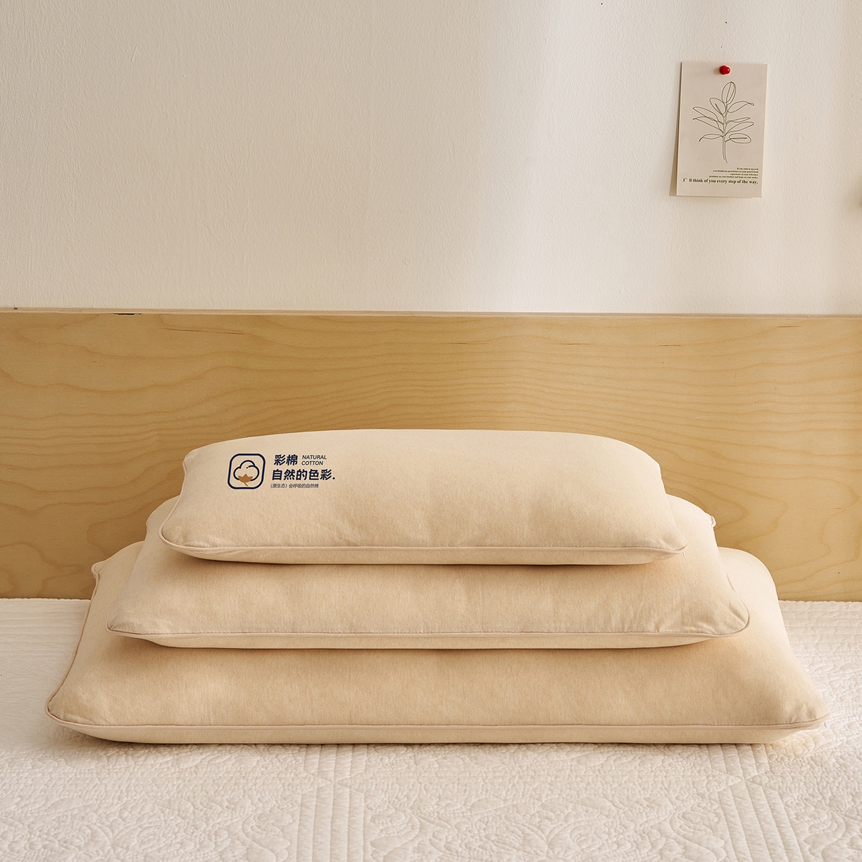 乐可 2025新款全棉天竺棉棉花亲子枕 天竺棉棉花枕-米-成人