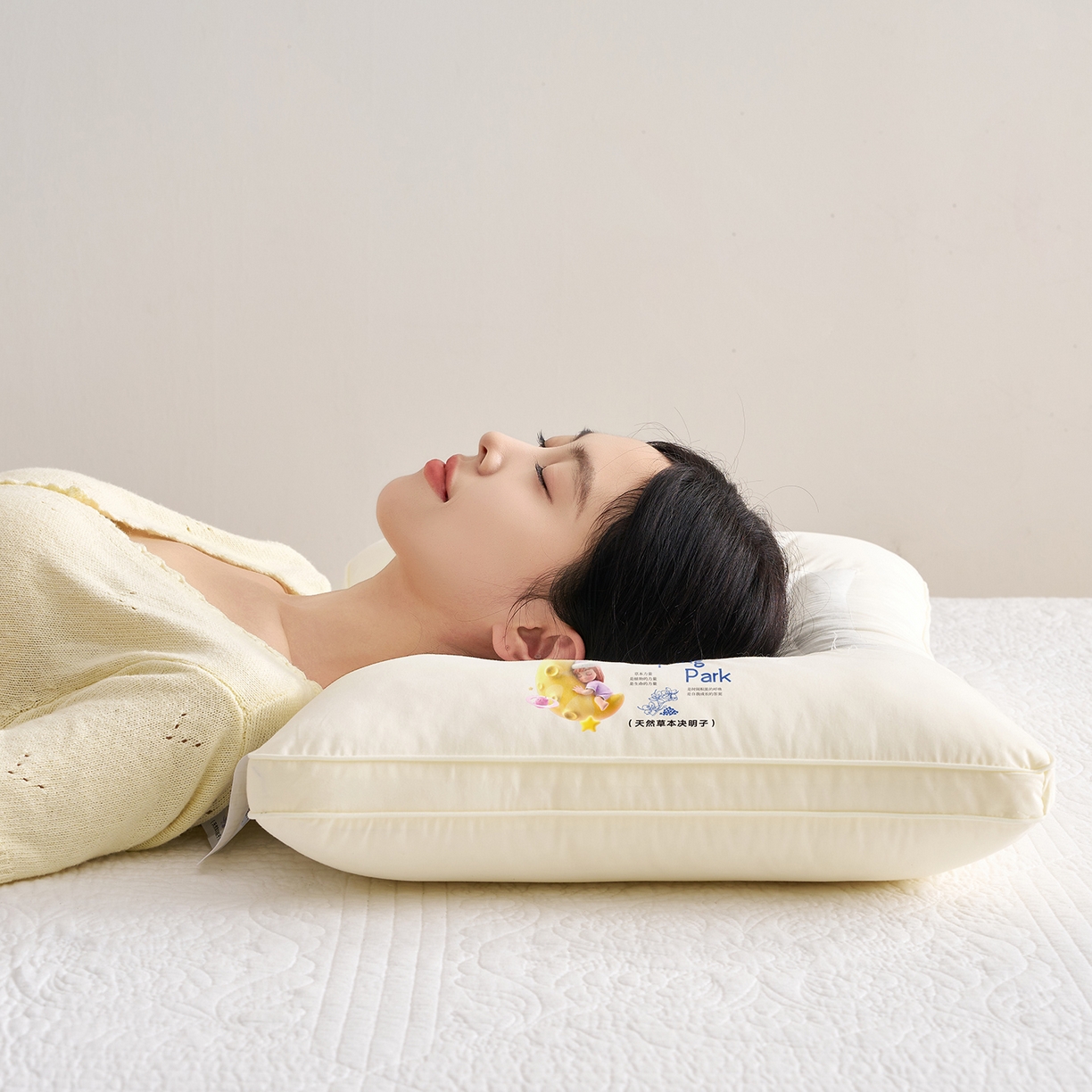 91家纺网 家纺一手货源 找家纺 乐可 2025新款决明子透气枕枕头枕芯 决明子透气枕-成人款