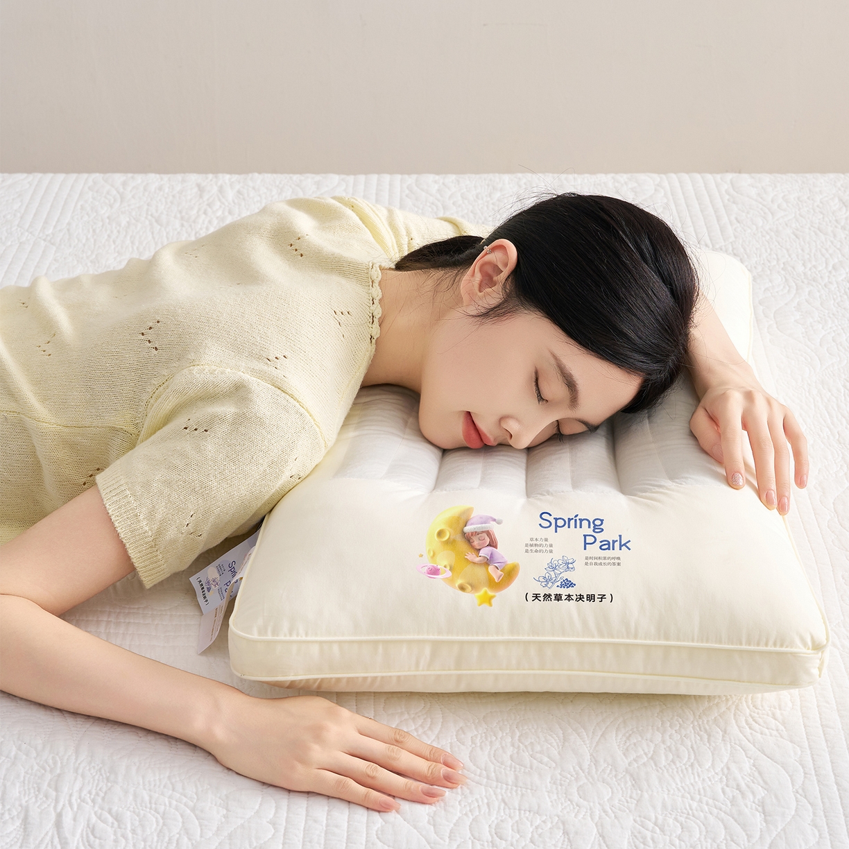 91家纺网 家纺一手货源 找家纺 乐可 2025新款决明子透气枕枕头枕芯 决明子透气枕-成人款