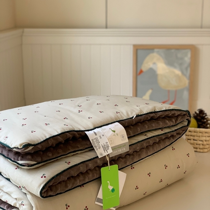 91家纺网 家纺一手货源 找家纺 （总）汇庭 2025秋冬新款·幸运双豆春秋被系列