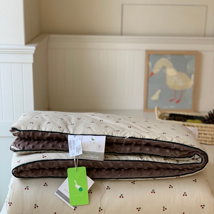 91家纺网 家纺一手货源 找家纺 （总）汇庭 2025秋冬新款·幸运双豆春秋被系列