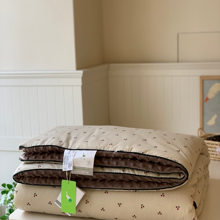 91家纺网 家纺一手货源 找家纺 （总）汇庭 2025秋冬新款·幸运双豆春秋被系列