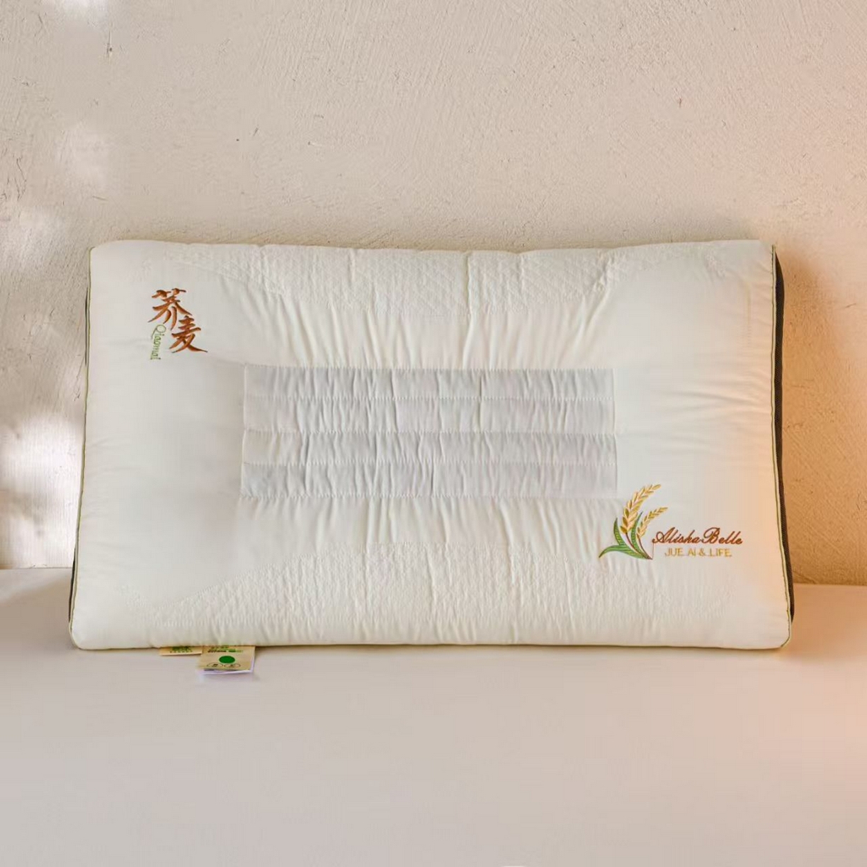 91家纺网 家纺一手货源 找家纺 （总）剑桥枕业 2025新款中框荞麦羽丝定型枕芯 剑桥枕业新品促销款式枕头