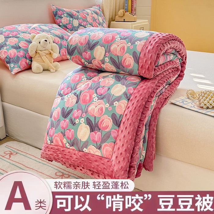 91家纺网 家纺一手货源 找家纺 黛妮雅2025新款全棉豆豆绒春秋被学生单双人被子被芯冬被（提供买家秀）花香丽影