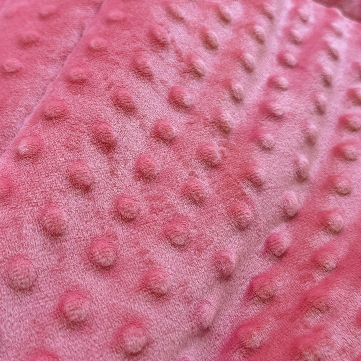 91家纺网 家纺一手货源 找家纺 黛妮雅2025新款全棉豆豆绒春秋被学生单双人被子被芯冬被（提供买家秀）花香丽影