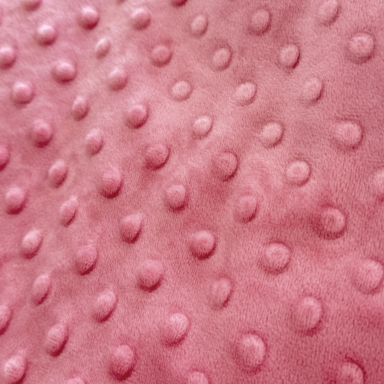 91家纺网 家纺一手货源 找家纺 黛妮雅2025新款全棉豆豆绒春秋被学生单双人被子被芯冬被（提供买家秀）锦上添花