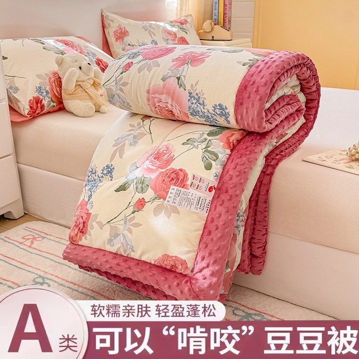 黛妮雅2025新款全棉豆豆绒春秋被学生单双人被子被芯冬被（提供买家秀）锦上添花