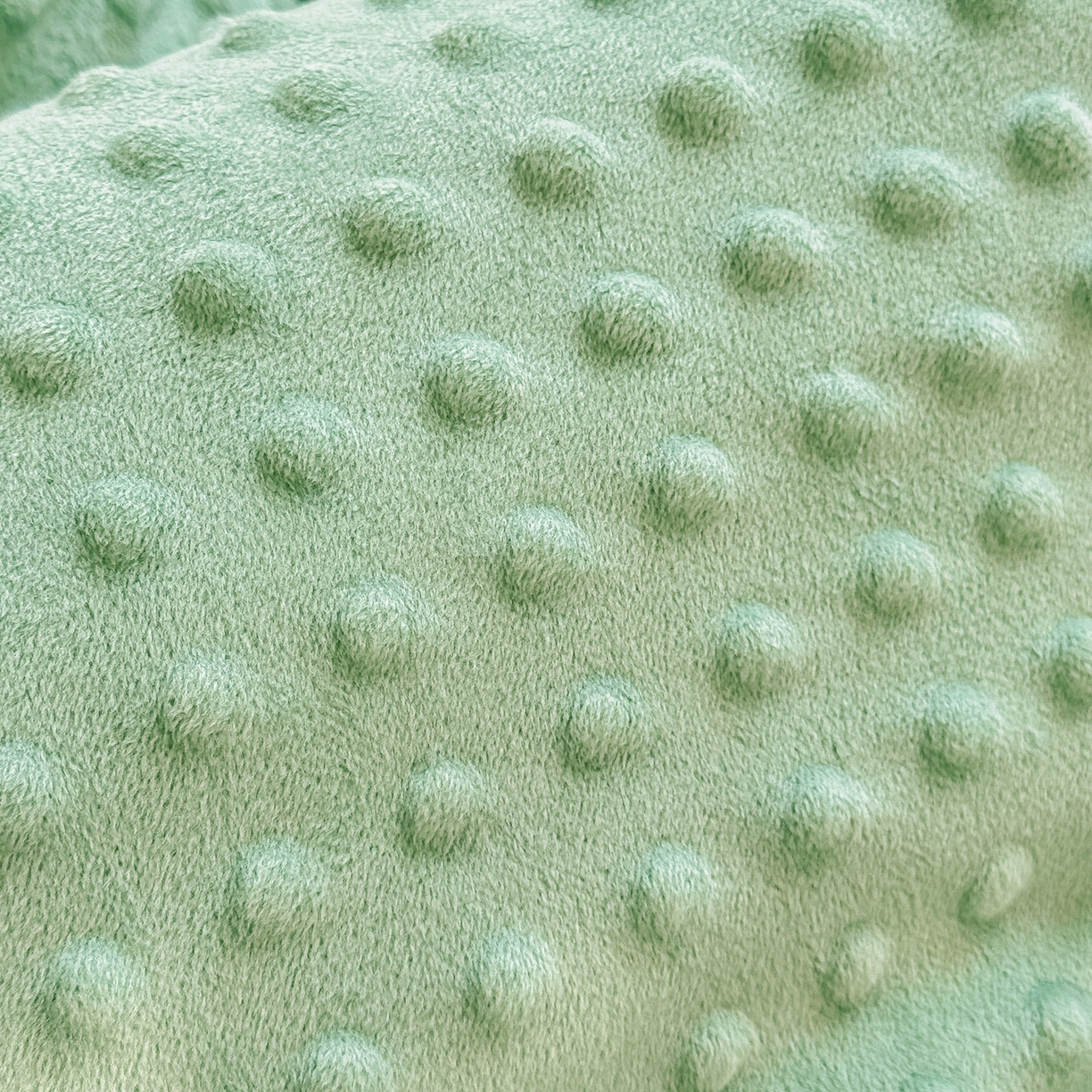 91家纺网 家纺一手货源 找家纺 黛妮雅2025新款全棉豆豆绒春秋被学生单双人被子被芯冬被（提供买家秀）玫瑰物语