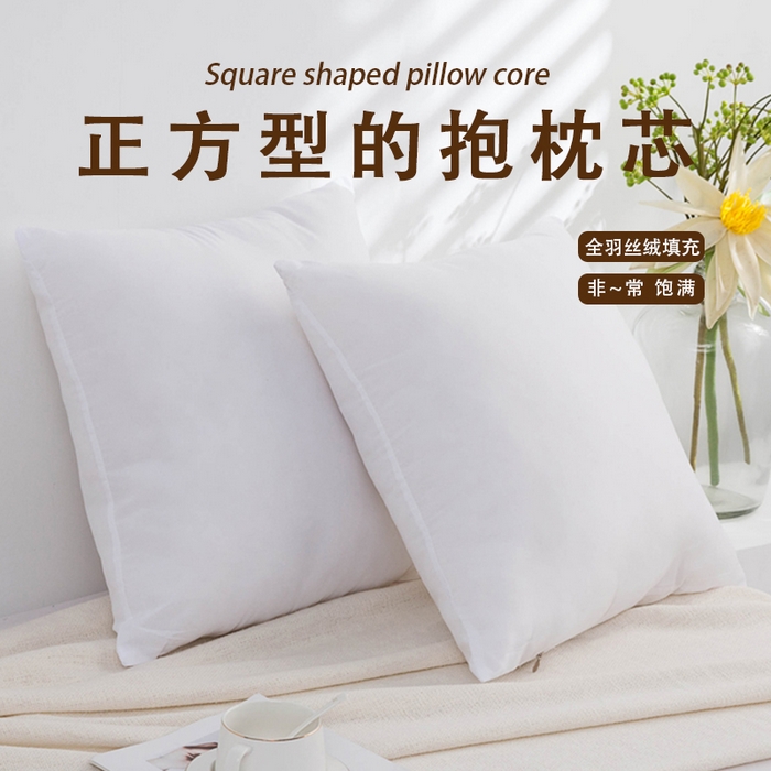 （总）芯奇想 抱枕芯内胆45 50 60客厅沙发靠枕腰枕靠背垫套大号床上靠垫方芯婚庆
