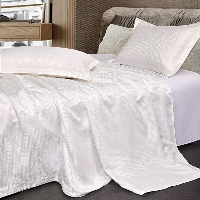 91家纺网 家纺一手货源 找家纺 罗菲尼酒店用品 2025新款AB版加厚磨毛提花酒店套件 云纹