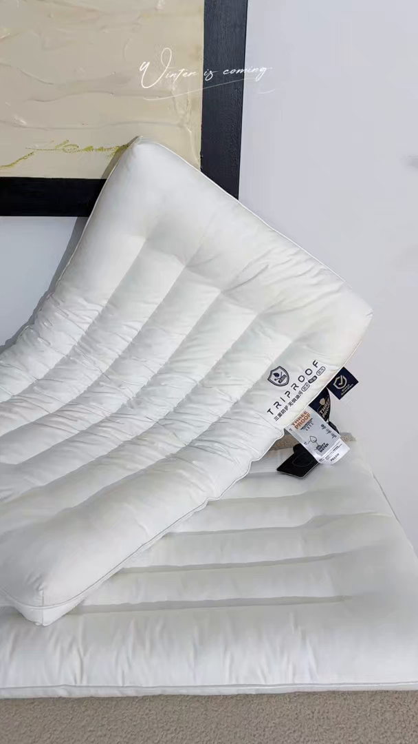 91家纺网 家纺一手货源 找家纺 （总）头等舱 2025新款全棉A类三防酒店抗菌枕头枕芯