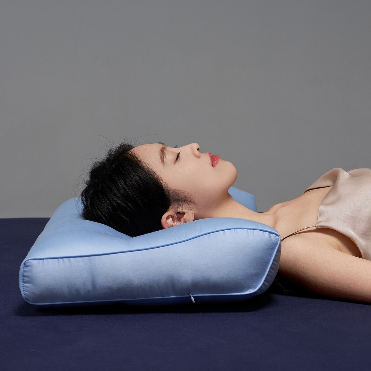 91家纺网 家纺一手货源 找家纺 乐可 2025新款植萃草本云柔枕枕头枕芯 植萃草本云柔枕-兰