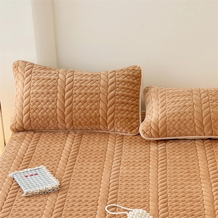 91家纺网 家纺一手货源 找家纺 圣比熊 2025新款A类牛奶绒夹棉枕套单人宿舍枕芯套枕头套一对-轻奢 轻奢包边款-奶茶咖