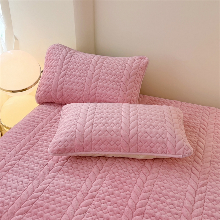 圣比熊 2025新款A类牛奶绒夹棉枕套单人宿舍枕芯套枕头套一对-轻奢 轻奢包边款-浪漫粉