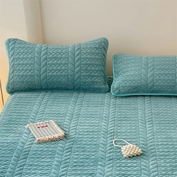 91家纺网 家纺一手货源 找家纺 圣比熊 2025新款A类牛奶绒夹棉枕套单人宿舍枕芯套枕头套一对-轻奢 轻奢包边款-浅水兰