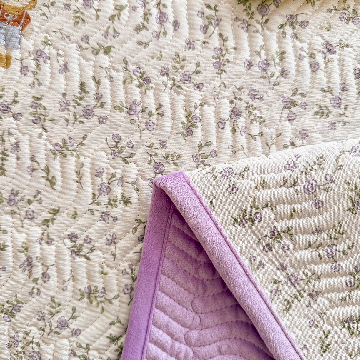 91家纺网 家纺一手货源 找家纺 布兰鸟家纺【1店】 2025新款全棉宝宝绒夹棉床盖单品床盖床盖单件（四季换面用） 阳光狮子