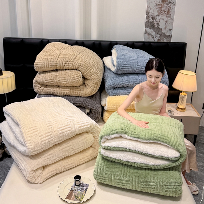 默忆 2025新款塔芙绒提花冬被被子被芯 组合