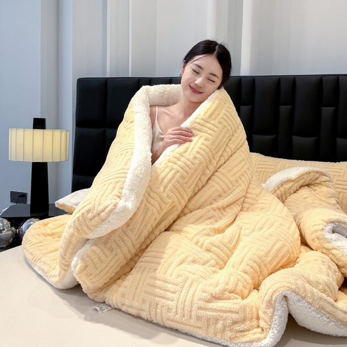 91家纺网 家纺一手货源 找家纺 默忆 2025新款塔芙绒提花冬被被子被芯 米黄色