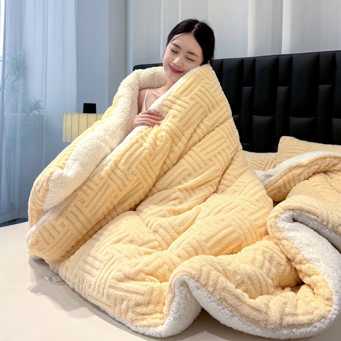 91家纺网 家纺一手货源 找家纺 默忆 2025新款塔芙绒提花冬被被子被芯 米黄色