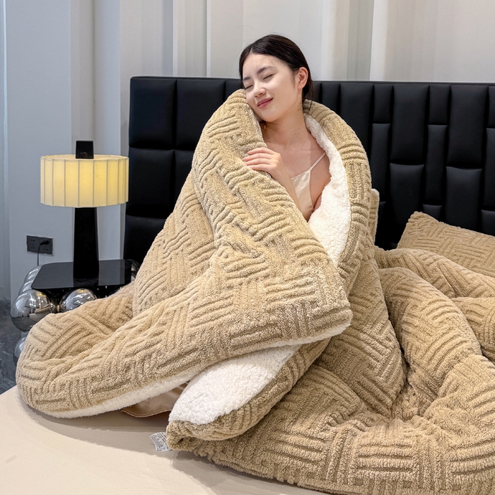 91家纺网 家纺一手货源 找家纺 默忆 2025新款塔芙绒提花冬被被子被芯 卡其色