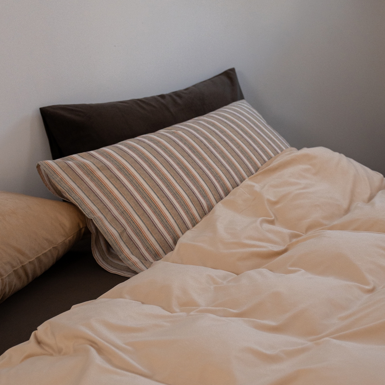 91家纺网 家纺一手货源 找家纺 例外 2025新款高克重天鹅绒四件套-时光里 时光里-奶茶