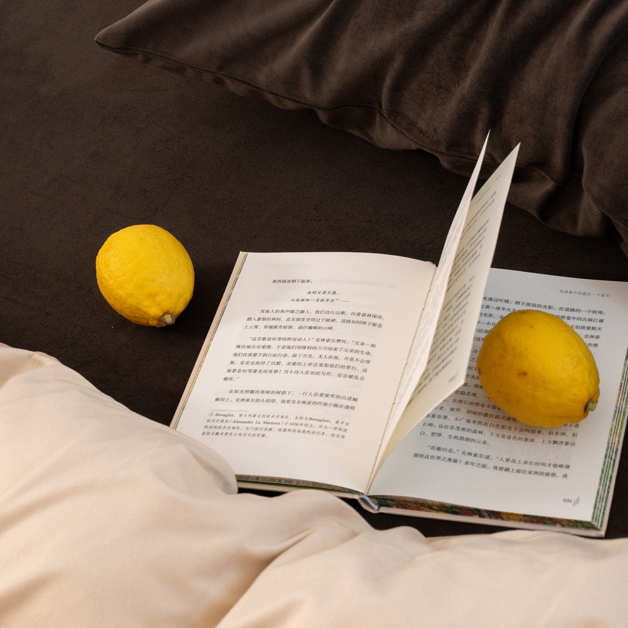 91家纺网 家纺一手货源 找家纺 例外 2025新款高克重天鹅绒四件套-时光里 时光里-奶茶