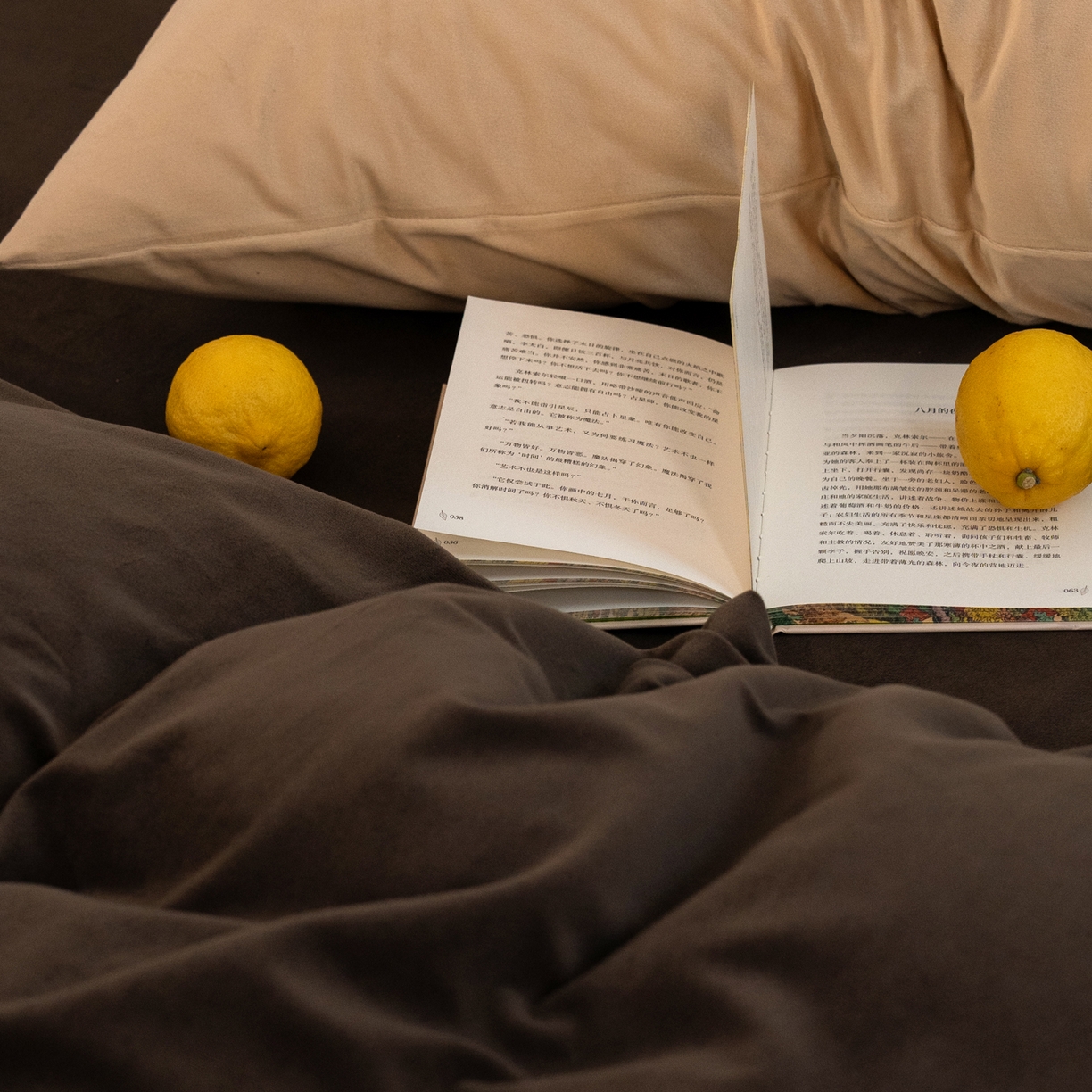 91家纺网 家纺一手货源 找家纺 例外 2025新款高克重天鹅绒四件套-时光里 时光里-咖