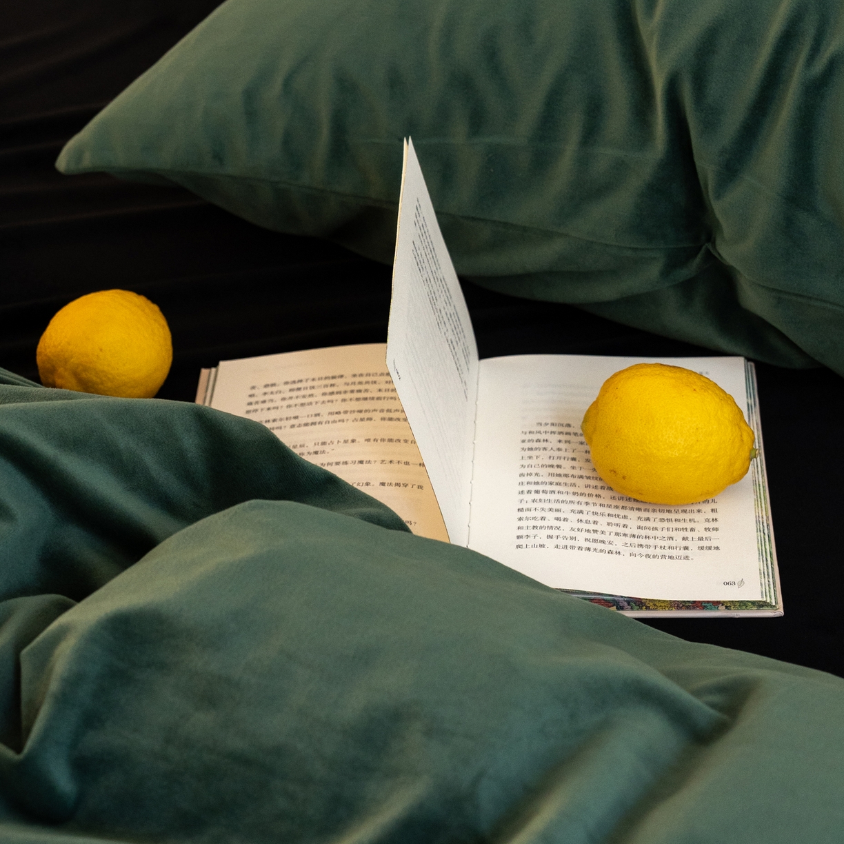 91家纺网 家纺一手货源 找家纺 例外 2025新款高克重天鹅绒四件套-时光里 时光里-墨绿