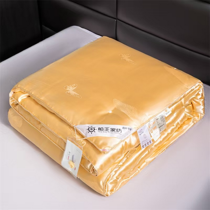 91家纺网 家纺一手货源 找家纺 （总）船王家纺 2025新款桑蚕丝双人蚕丝被被子被芯