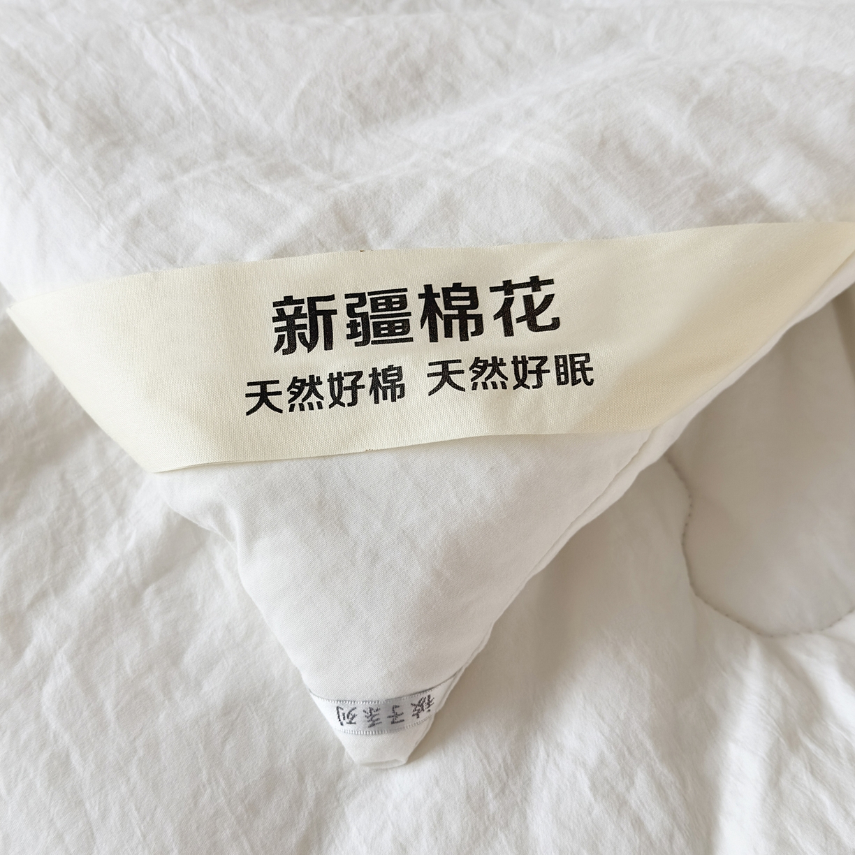 91家纺网 家纺一手货源 找家纺 尊妙被业 2025新款新疆棉花被被子被芯冬被春秋被垫被二合一字母被 浅云白