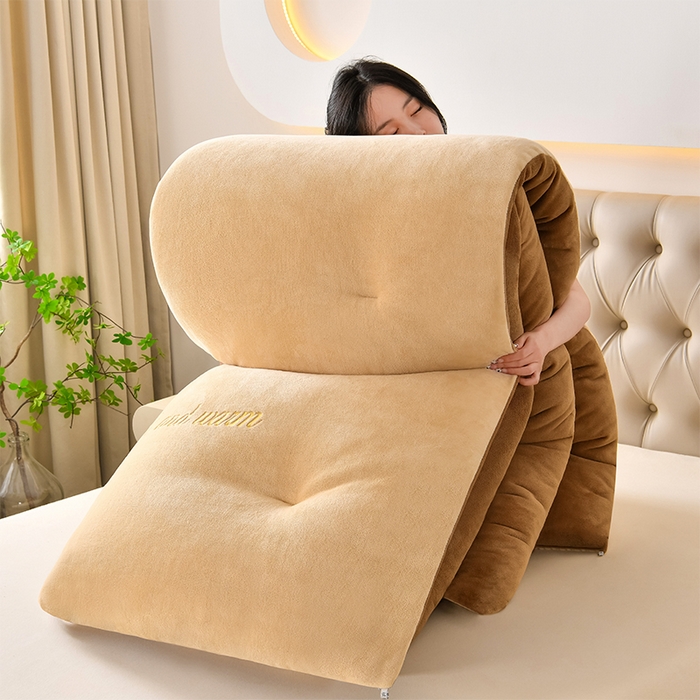 春雨家居 2025新款双面牛奶绒刺绣冬被被子被芯 高级咖