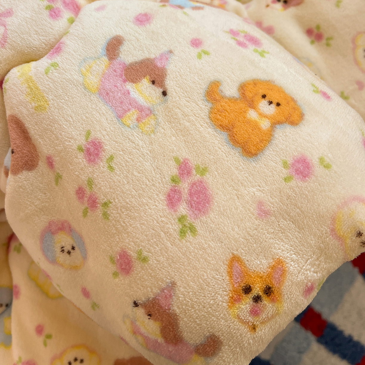 91家纺网 家纺一手货源 找家纺 Mata蔓塔家 2025新款高克重印花牛奶绒软绵绵豆豆被春秋冬被被子被芯 卖萌修狗（提供买家秀）