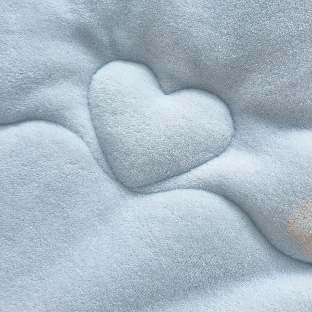 91家纺网 家纺一手货源 找家纺 Mata蔓塔家 2025新款高克重印花牛奶绒软绵绵豆豆被春秋冬被被子被芯 绒绒小狗-蓝（提供买家秀）